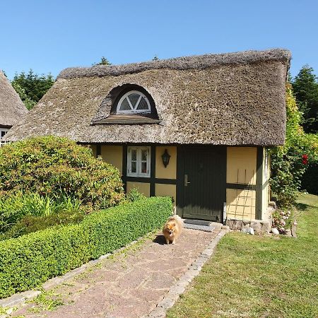 Zara'S B&B Horsens Zewnętrze zdjęcie