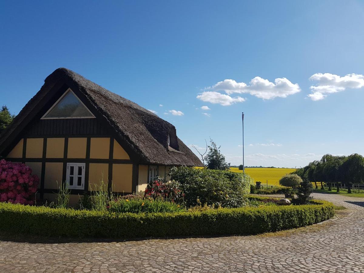 Zara'S B&B Horsens Zewnętrze zdjęcie