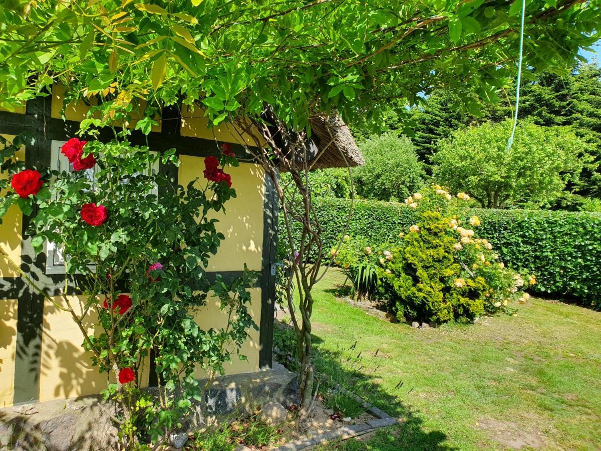 Zara'S B&B Horsens Zewnętrze zdjęcie