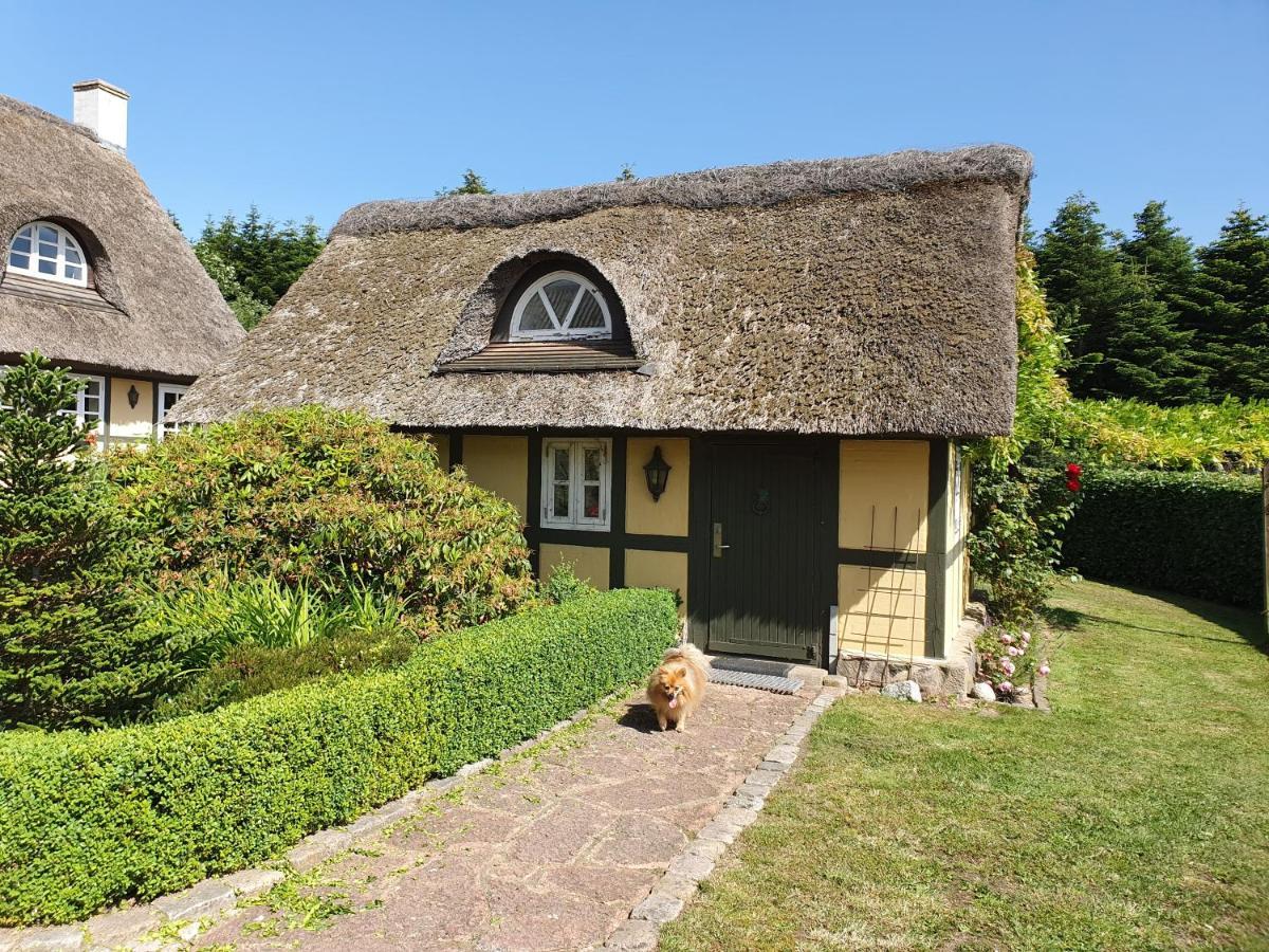 Zara'S B&B Horsens Zewnętrze zdjęcie